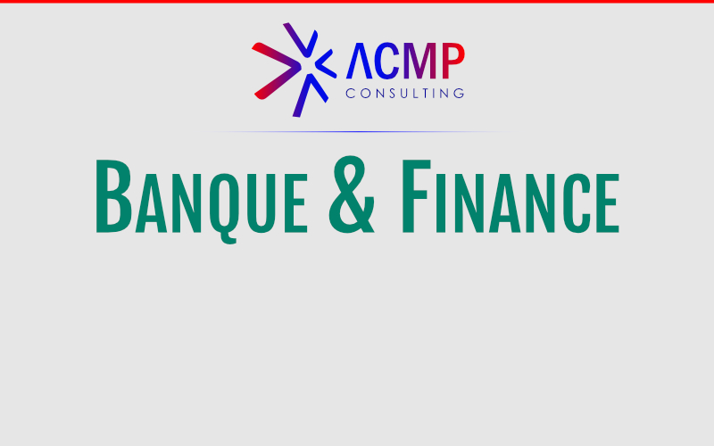 Thémes Séminaire - ACMP Consulting